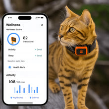 Load image into Gallery viewer, KittyFind GPS Collar
