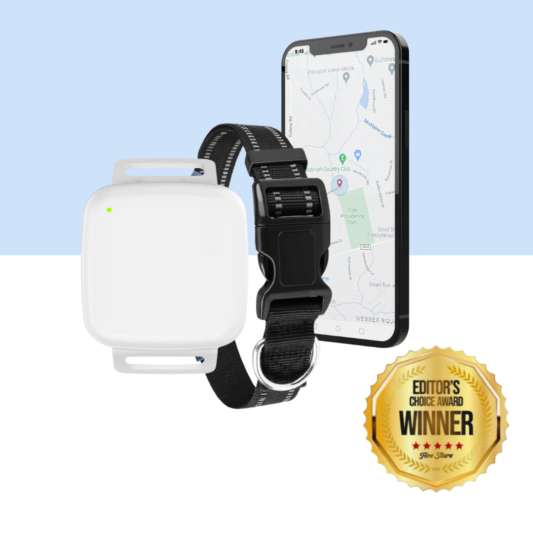 KittyFind GPS Collar
