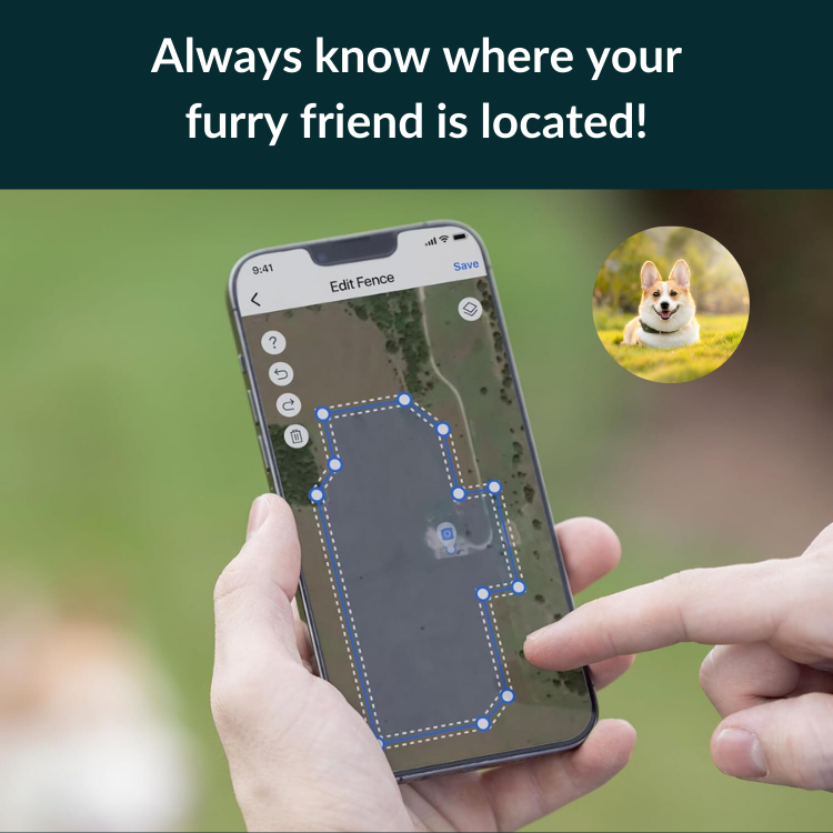 NordPaw Dog GPS